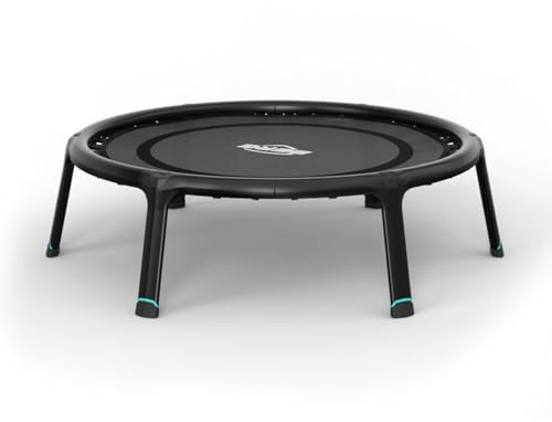BERG Fitnesstrampolin 110 | Ø110 cm | Indoor Trampolin klappbar | Jumping Trampolin Fitness für Kraft | Cardio und Yoga | Mit Sicherheitsnetz