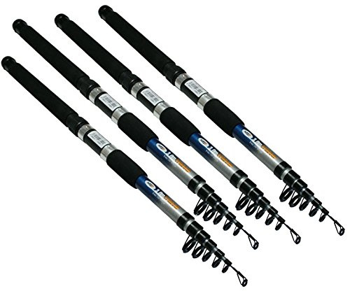4 x Teleskoprute Angelrute 3,00 Meter 20-50g Wurfgewicht Friedfisch Hecht Zander Barsch Forelle