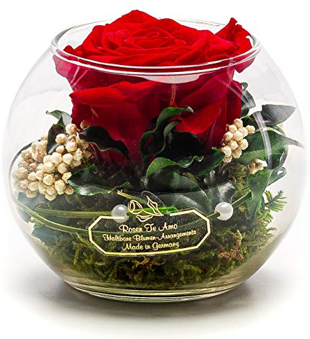 Rosen-Te-Amo | Ewige Rose im Glas, duftend, handgefertigt, rot | Echte Rose in Geschenkbox, Geschenk für Frauen, Mama, Oma | Konservierte Blume zum Weihnachten, Valentinstag, Muttertag, DekoGeschenk