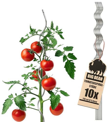 BigDean 10 Tomatenspiralstäbe 110cm voll verzinkt Tomatenstab Tomaten Ranke Pflanzstab Stahl Profi Qualität Tomatenspiralstab