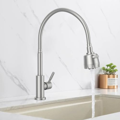 HOMELODY Wasserhahn Küche 360° Schwenkbar nur Kaltwasser | 2 strahlarten Kaltarmatur aus Edelstahl Küchenarmatur Einhand Wasserhahn Kalt Spülbeckenarmatur Gebürsteter Federhahn, Matt