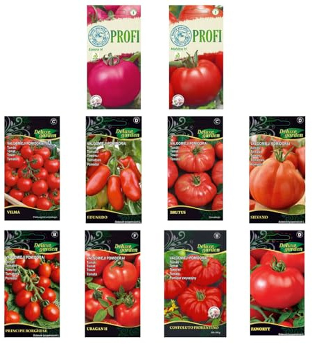 Nojus - Tomaten Samen Set – 20 Sorten – Verschiedene Tomatensamen Starter Kit - 20 Packen – Garten Samen Pflanzen Saatgut – Samen Gemüse Box 20 Sorten – Saatgut Box – Saat/Seeds