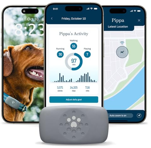 Petivity Smart GPS und Activity Dog Tracker