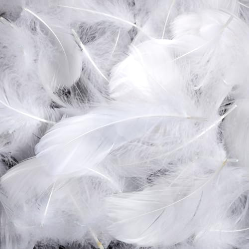 weiße Federn zum Basteln 600 Stück Feder weiß 5-12cm | für Hochzeiten, Partys, Traumfänger und Bastelarbeiten