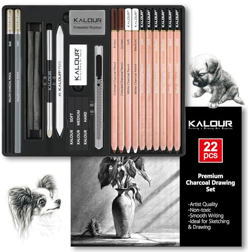 KALOUR PDAS 22-teiliges Zeichenkohle-Set, Professionelles Kunstzubehör, Schwarze und Weiße Kohlebleistifte zum Zeichnen, Skizzieren, Schattieren und Verblenden, für Anfänger und erfahrene Künstler