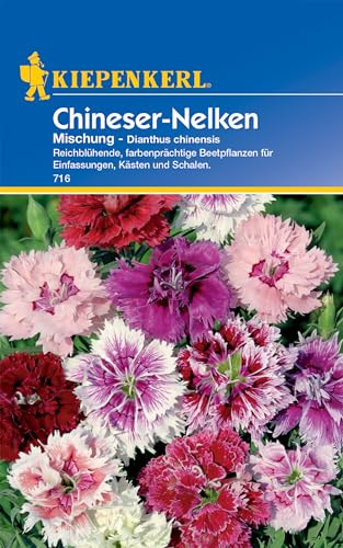 Kiepenkerl Chineser-Nelkensamen Mischung 716 - Reichblühende, farbenprächtige Beetpflanzen - Inhalt für ca. 60 Pflanzen - Blumensamen, Blumenwiese