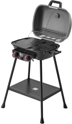 Royal Gourmet 2- Brenner Gasgrill kleiner Balkon-Picknick-Grill, 5 kW Grillwagen für Garten und Camping mit leicht demontierbaren Grillständer, Grau
