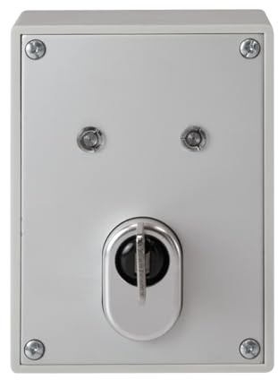 ABUS SE1010 Schlüsselschalter (Aufputz) inkl. ABUS Qualitätszylinder, Kernziehschutz, Deckel- & Wandsabotage, 2 Schaltkontakte, Status-LEDs, für Alarmanlagen & Geräte (z. B. Garagentor/Beleuchtung)