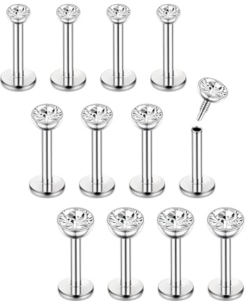 Chriscoco 16G 12Pcs Helix Piercings Chirurgenstahl piercing ohr conch piercing Nasenpiercing Tragus Piercing lippenpiercing labret piercing Studs 6mm für Frauen Männer Silber