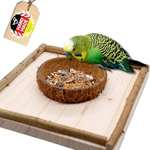 Vogelgaleria® Sitzbrett mit Kokosschale Futternapf zum Herausnehmen. Pfiffiges Vogelspielzeug und Futterbrett für Wellensittich, Nymphensittich