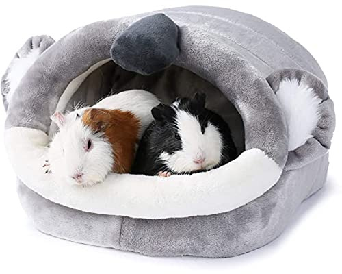 JanYoo Kleintierhöhle für Chinchilla, Igel, Meerschweinchen, Käfigzubehör, Spielzeug, für Bartagame, Hamster, Frettchen, Ratte(Koala,XL)