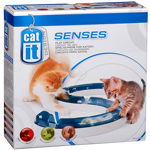 Catit Design Senses Spielschiene, Play Circuit, inklusive Ball, für Katzen, 1 Stück (1er Pack)