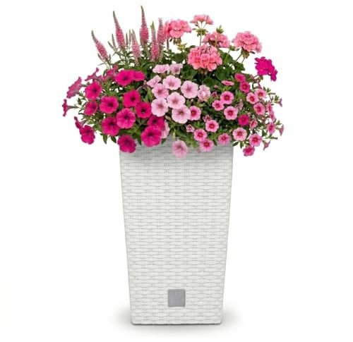 Prosperplast Rato Square Blumentopf 26,5 x 26,5 x 50 cm Weiß | Moderner Pflanzkübel in Rattan-Optik | Eckiger Übertopf mit Einsatz | Wetterfester Kunststoff für Balkon, Terrasse & Wohnung