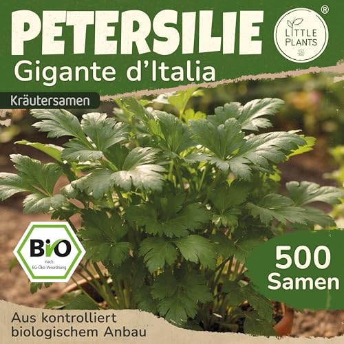 Little Plants BIO Petersilie Gigante ditalia Samen 500 Petersiliensamen Kräutersamen Samenfest für Kräutergarten Kräuter Samen Küchenkräuter für Küche, Balkon und Garten