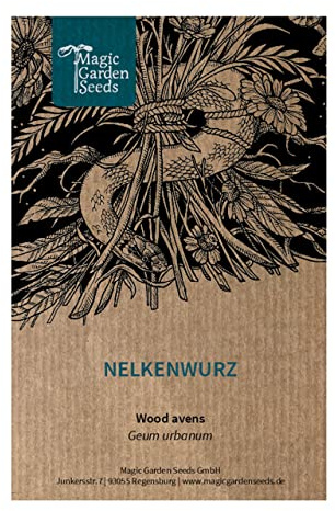 Nelkenwurz (Geum urbanum) - ca. 300 Samen