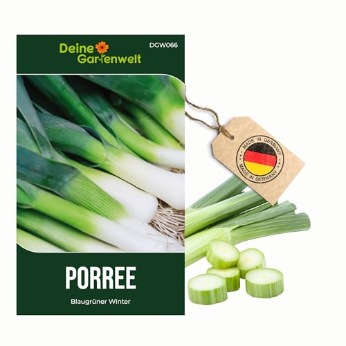 Porree Blaugrüner Winter Samen - Allium porrum - Porreesamen - Gemüsesamen - Saatgut für 150 Pflanzen