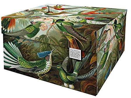 DDB Dutch Design Brand Dekorative Aufbewahrungsbox L, Art Of Nature | Mit Deckel, faltbar, stapelbar, FSC-zertifizierter Karton, hergestellt in den Niederlanden. Maße: 38,9 x 31,3 x 20,6 cm.
