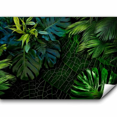 murando Fototapete selbstklebend tropische Blätter Monstera 343x256cm Foto Tapete Tapetenfolie Möbelfolie Wandverkleidung Wandtapete Motivtapeten Bildtapete Wohnzimmer 3d Effekt Modern Natur grün
