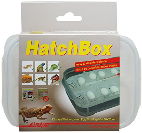 Lucky Reptile Hatchbox