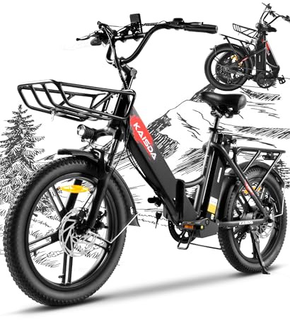 KAISDA E-Bike klapprad 20 Zoll Elektrofahrrad Pedelec Cityräder Faltrad für Erwachsene 150kg Belastung 36V 20,8Ah Doppelakku 45-90km Reichweite 250W Motor 7-Gang LCD Display Black