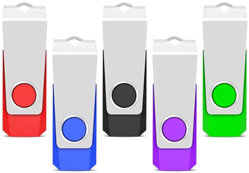 TEWENE USB Stick 2GB 5 Stück Set, USB 2.0 Rotate Flash Drive | Inklusive Schlüsselring und Aufklebern, 360° drehbares Gehäuse, weitgehend kompatibel, erhältlich in 5 Farben