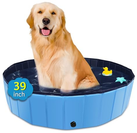 CACSPS Faltbarer Hundepool, 99,1 x 30,5 cm, Übergröße, Hartplastik, tragbarer Schwimmbad für Hunde, Katzen und Kinder, Haustier, Welpen-Badewanne, zusammenklappbar, Kinderpool (blau)