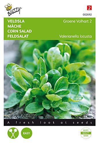 Buzzy Seeds 002692 Feldsalat Volhart 2 (Feldsalatsamen)