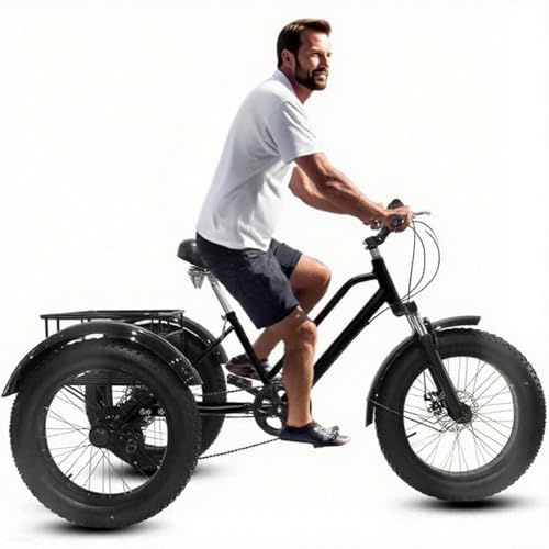 Kcolic Fat Tire Dreiräder Mit Korb Für Erwachsene, 3 Rad Cruise Fahrräder, 20 Zoll 7-Gang, Carbon Stahlrahmen, Übungsdreiräder Für Herren Und Damen B,20in7