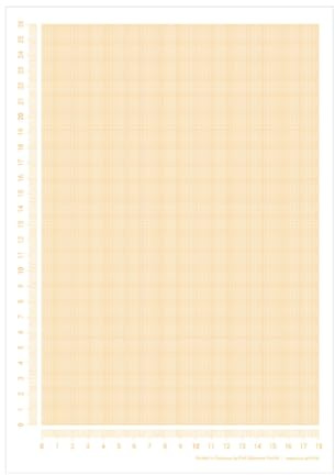 PuK Millimeterpapier Block DIN A4 | seitlich abgedrucktes Lineal | 25 Blatt zum Abreißen | mathematisches Papier | zum Beschreiben und Skizzieren (DIN A4)