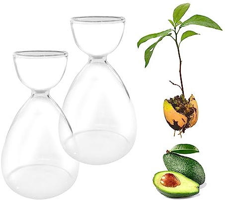 2 Stück Avocado Baum Blumenvasen aus Glas, Klarglasvasen für Blumen, Avocado Baum Anbau Kit, Moderne Hyazinthenvasen Avocado Vase für Desktop-Tisch Innenfensterbank Dekor