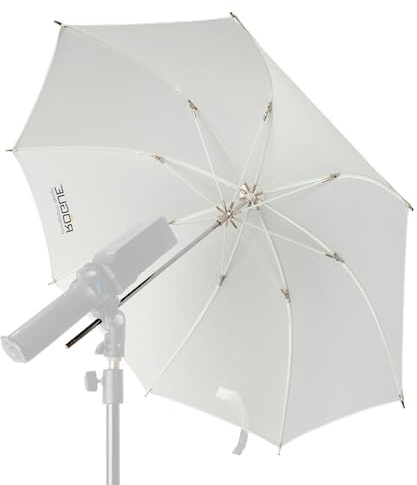 Rogue Studioschirm (32 Zoll)