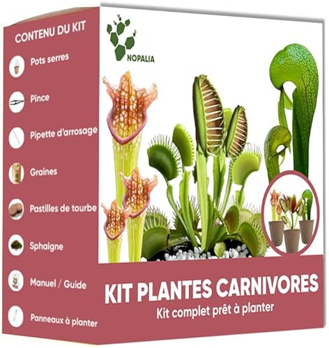 NOPALIA® Premium Fleischfressende Pflanzen-Set – Dionaea, Darlingtonia & Sarracenia – Komplettes Set mit Gewächshaus, Töpfen, Torf & Sphaigne – Ungewöhnliches & Lehrreiches Weihnachtsgeschenk – DIY