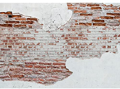 Runa Art Fototapete Steinwand 352 x 250 cm Vlies Tapeten XXL Moderne Wandtapete Wohnzimmer Schlafzimmer Weiss Braun 9083011a