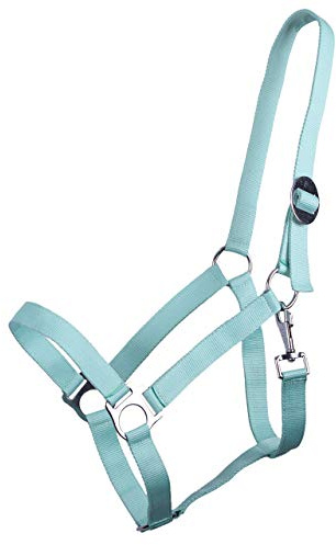 ARBO-INOX Halfter Stallhalfter – Mit Schiebeschnalle und Karabinerhaken – Robustes Nylon Größe von Mini Shetty bis Extra Full