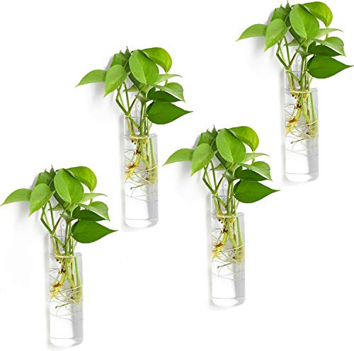 Vumdua Glas-Pflanzgefäße, transparent, 15 x 4,7 cm (HxD), geeignet für die meisten Wasserpflanzen, perfekt für Anzuchtstation, einfach Montage, elegant und funktional, 4 Stück