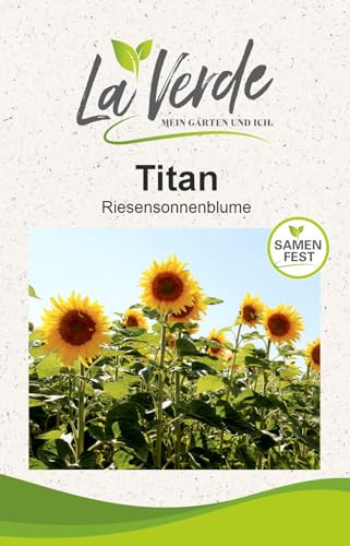 La Verde MEIN GARTEN UND ICH. Titan Riesensonnenblumen Samen für ca. 30 Pflanzen, extrem hohe Sonnenblume bis 4 m, riesige Blüten, Saatgut ohne Gentechnik
