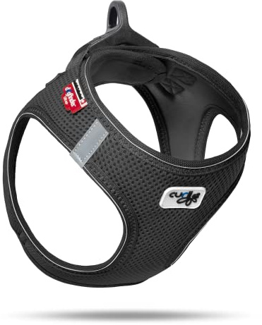Vest Harness D-Ring Buckle Black M