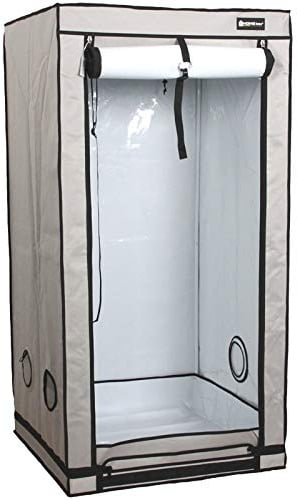 Growboxen Homebox Ambient Q80+ (Schwarz, Maße: 80x80x180cm)