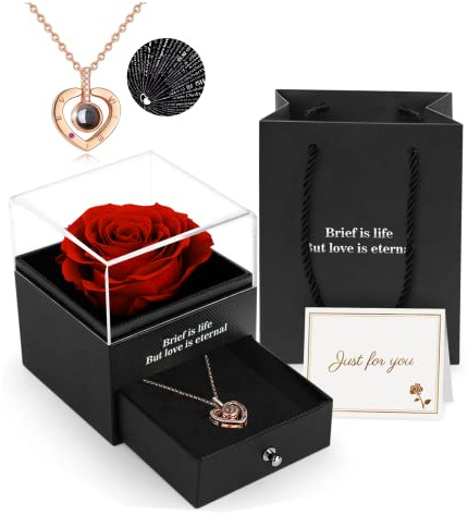 ADAZ Ewige Rose Geschenkbox mit Kette,Eternal Rose, Unendliche Rosen, Valentinstag Muttertagsgeschenk Weihnachtsgeschenke Liebesgeschenke Hochzeitstag Geschenk für Sie Frauen Freundin Women