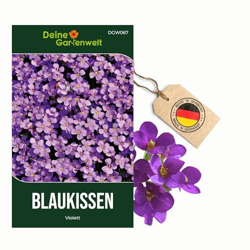 Blaukissen Violett Samen - Aubrieta cultorum - Blaukissensamen - Blumensamen - Saatgut für 100 Pflanzen