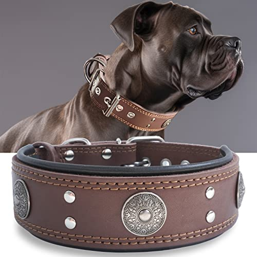 Hundehalsband Leder 5 cm Breites,Handgefertigt Weich und Luxuriös,Braun M | Robustes Echtes Lederhalsband, Auffällige Beste Wahl für Große und Mittelgroße Hunderassen, 50-60 cm