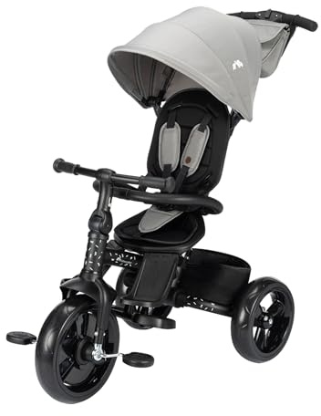 Bebeconfort Windy, Dreirad mit Schubstange, 10 Mon. bis 4 Jahre, 0–25 kg, auf das Kind einstellbar, bequemer Wendesitz, schützendes Verdeck, kompakt zusammenklappbar, Fahrrad Kinder, Tinted Grey
