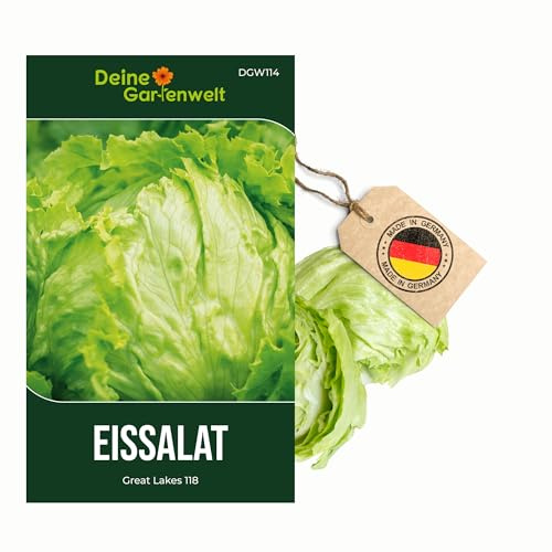 Eisbergsalat Great Lakes 118 Samen - Lactuca sativa - Salatsamen Eissalat - Gemüsesamen - Saatgut für 150 Pflanzen