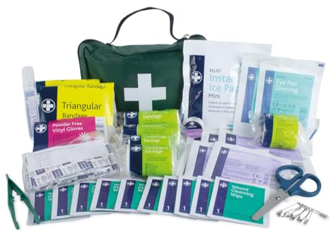 Lewis-Plast Premium Erste-Hilfe-Set mit 90 Teilen - Enthält Augenspülung, 2 x Kälte (Eis) Packungen und Notfalldecke für Zuhause, Büro, Auto, Wohnwagen, Arbeitsplatz, Reisen - Grün