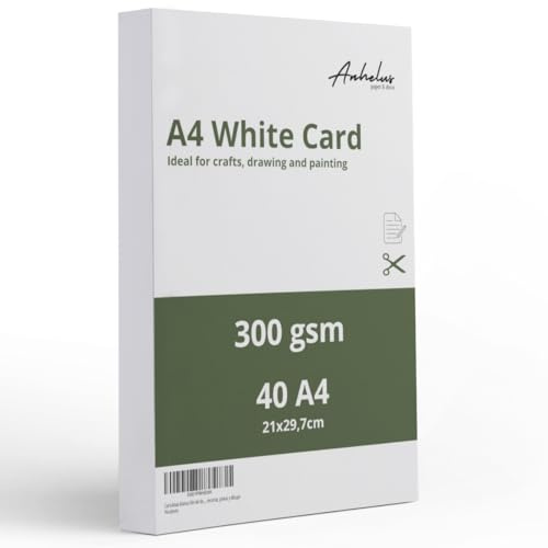 300g Papier A4 | 40 Blättern Karton A4 Weiß | druckerpapier 300g | Packung mit 40 Blatt 21x29,7cm Kartonpapier | Dickes papier zum drucken | Zeichenkarton – Bastelkarton – Fotokarton – Tonkarton
