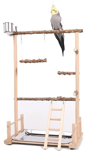 AMZTEMU Bird Playground Wood, Parrot Playstand, Wellensittich Spielzeug, Käfig, Spielplatz, Nymphensittich Spielzeug, Vogelspielzeug, Wellensittich Schaukel(36,5*23*57CM)