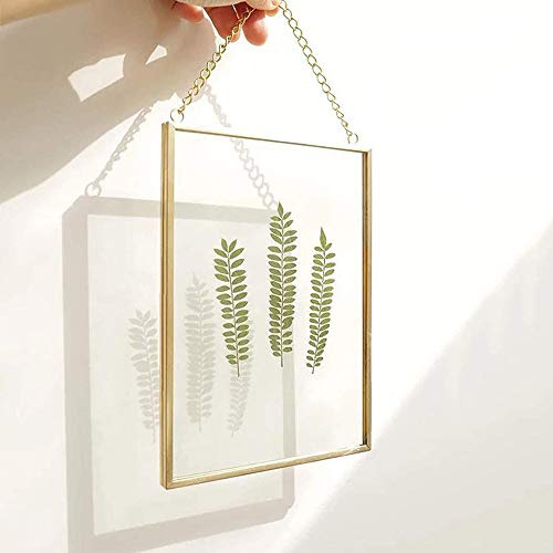DÉCOCO 25*20cm Bilderrahmen aus Kupfer Hängende schwimmende Glas Fotorahmen | Gold Geometrische Ornament Pflanze Probe Clip Dekor Karte Artwork Bild Display Halter, Nur Glasrahmen
