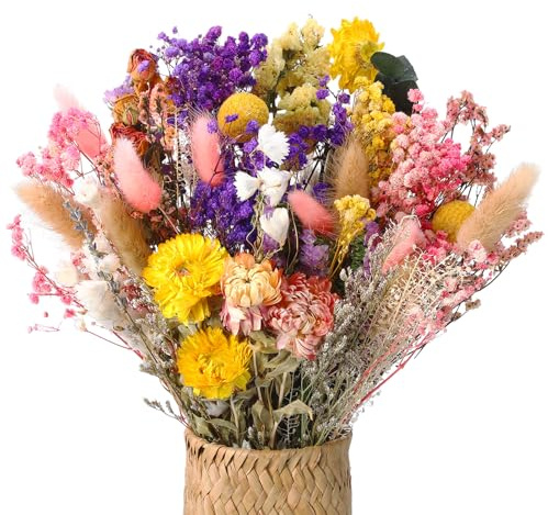 Xialvyu 46 Stück Trockenblumenstrauß Deko Set, 15 Sorten Trockenblumen | Bunt Getrocknete Blumen, Natürlichen Strohblume, Für Wohnzimmer Home Hochzeit Vasen Tischdeko