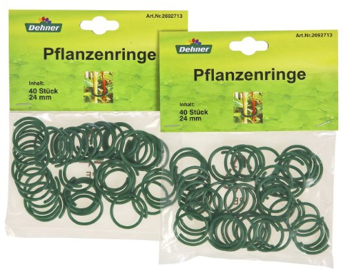 Dehner Pflanzenringe, Ø 24 mm, 2 x 40 Stück (80 Stück), Grünen
