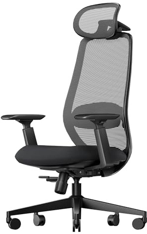 ProtoArc EC200 Ergonomischer Bürostuhl mit Verstellbarer Sitztiefe, Schwarz | Schreibtischstuhl Lendenwirbelstütze Höhen- und Tiefenverstellbarer, 3D-Kopfstütze, 55D-Schaum, Mesh Computerstuhl Homeoffice